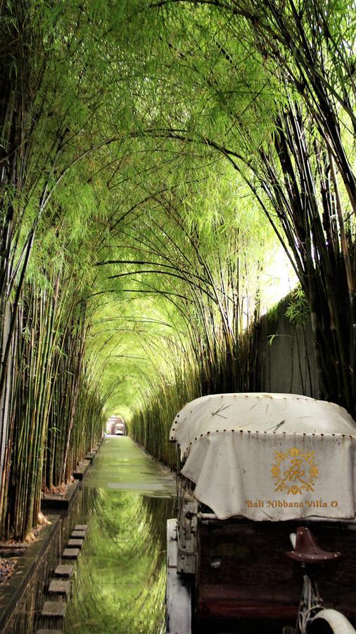The Nibbana Villas Seminyak Exteriér fotografie